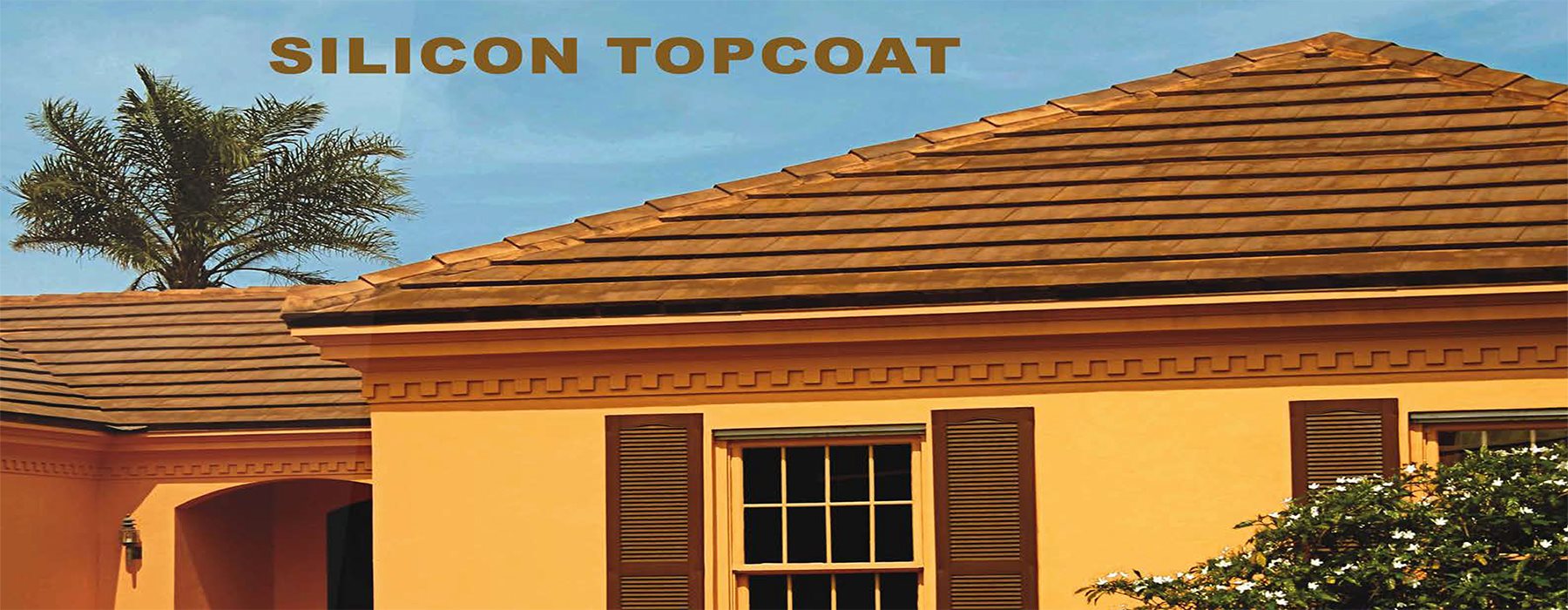 Siliconized Top-coat